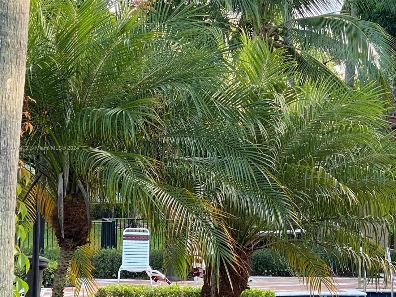 4848 N State Road 7, Unit 4305, Coconut Creek, FL 33073 Photo