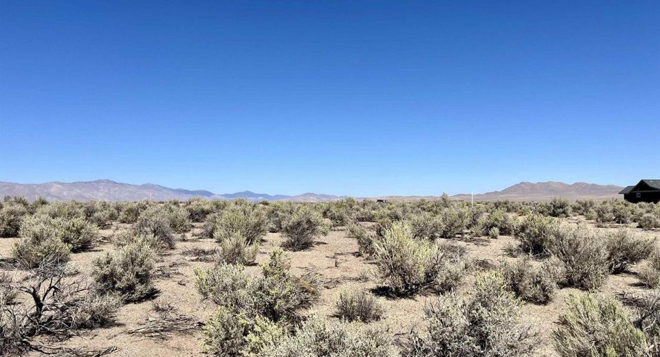 246 Finch Place, Smith, NV 89430 Photo