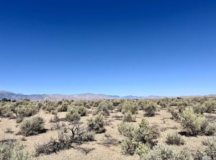246 Finch Place, Smith, NV 89430 Photo