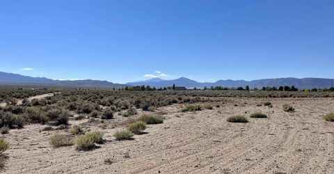 246 Finch Place, Smith, NV 89430 Photo