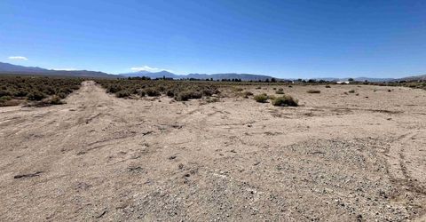 246 Finch Place, Smith, NV 89430 Photo