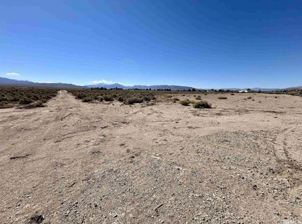246 Finch Place, Smith, NV 89430 Photo