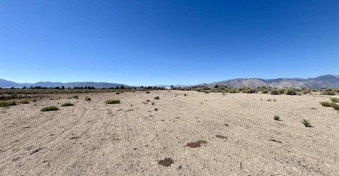 246 Finch Place, Smith, NV 89430 Photo