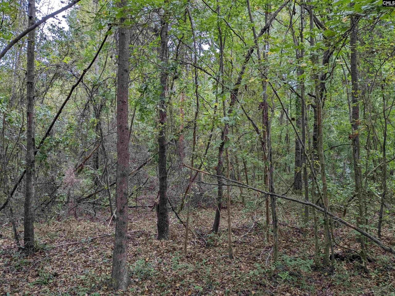 1113 Chappell Creek Road Photo 4