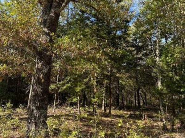 234 Private Road 34615, Sumner, TX 75486