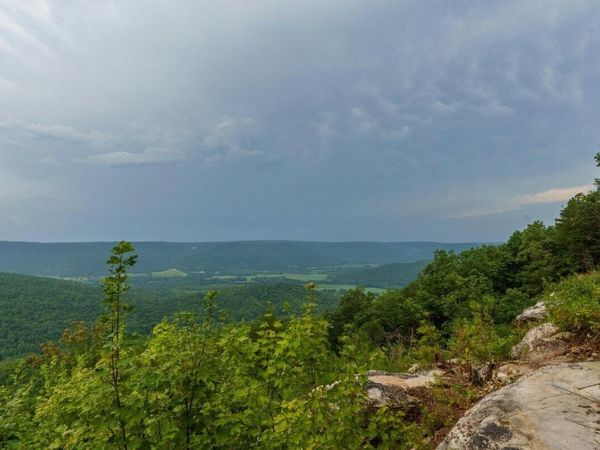 0 Crockett Point, Jasper, TN 37347