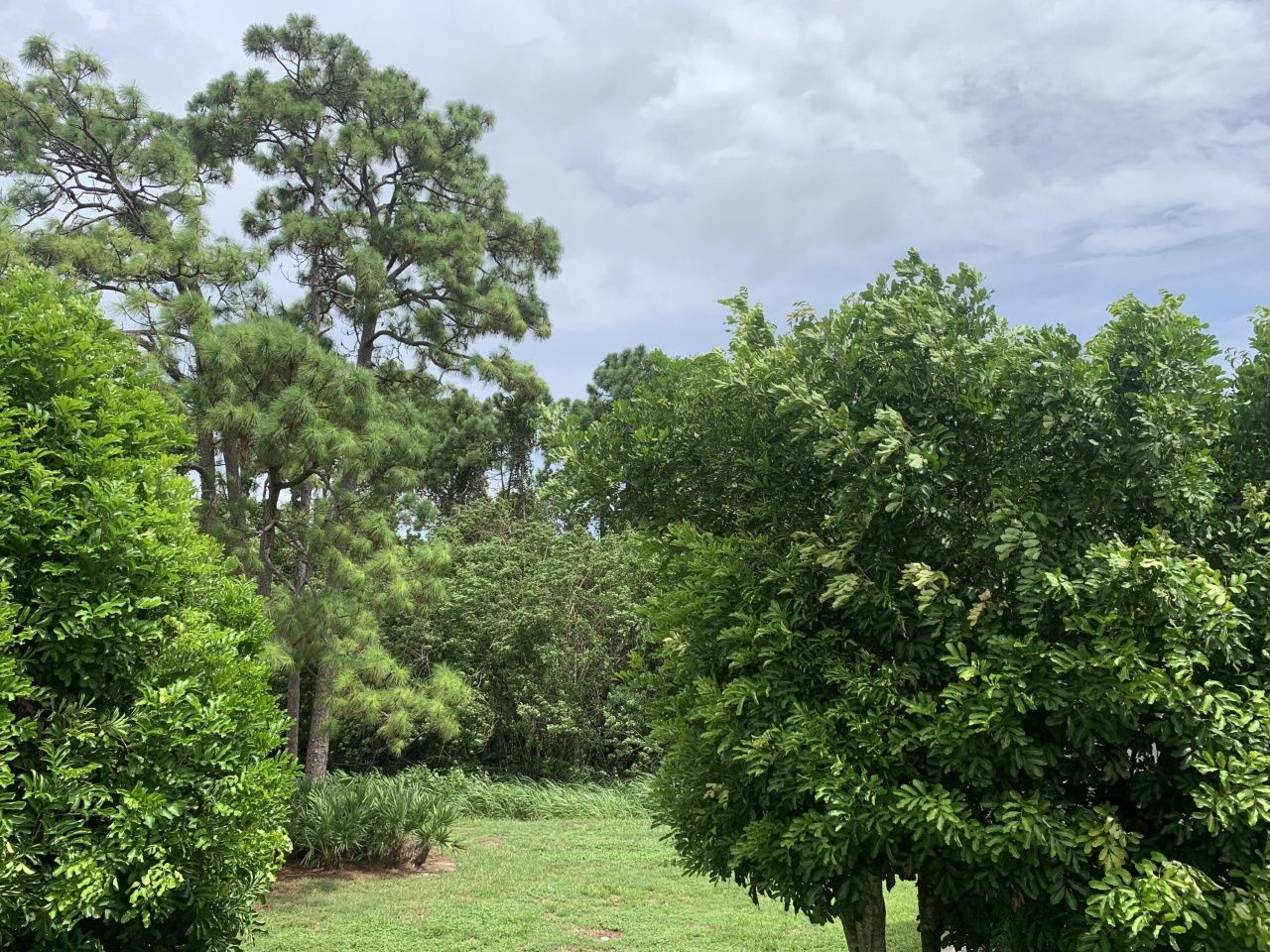 29 Lake Vista Trail, Unit 201, Port Saint Lucie, FL 34952 Photo