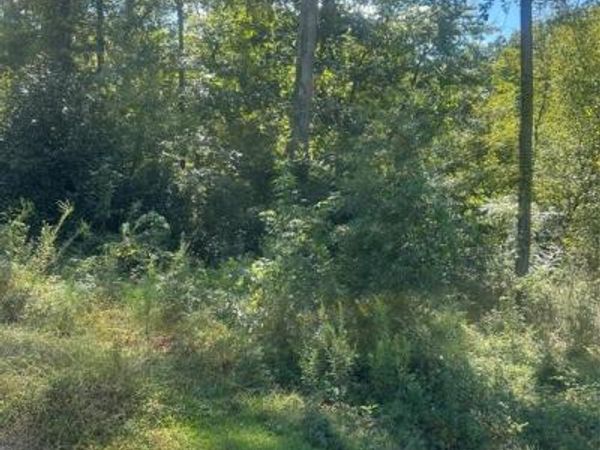 Lot 4 Dale, Jonesboro, LA 71251