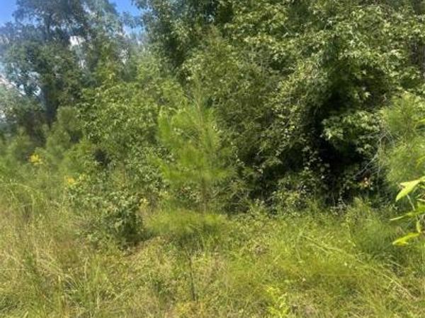 Lot 13 Dale, Jonesboro, LA 71251