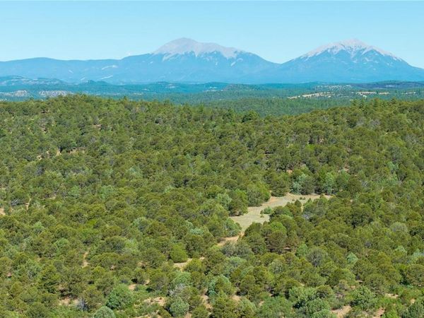 15536 Ponderosa Loop, Boncarbo, CO 81024