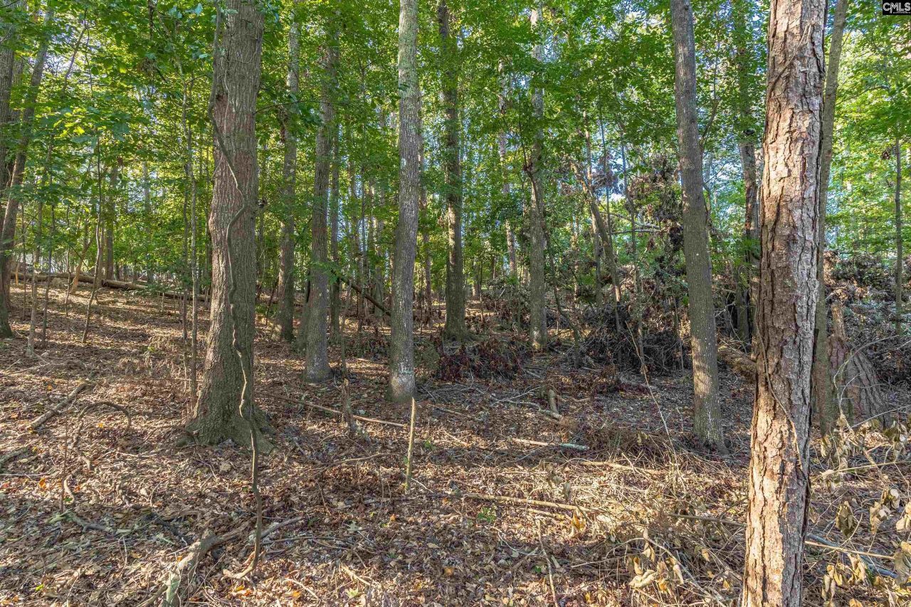 118 Lake Summit Drive Photo 12