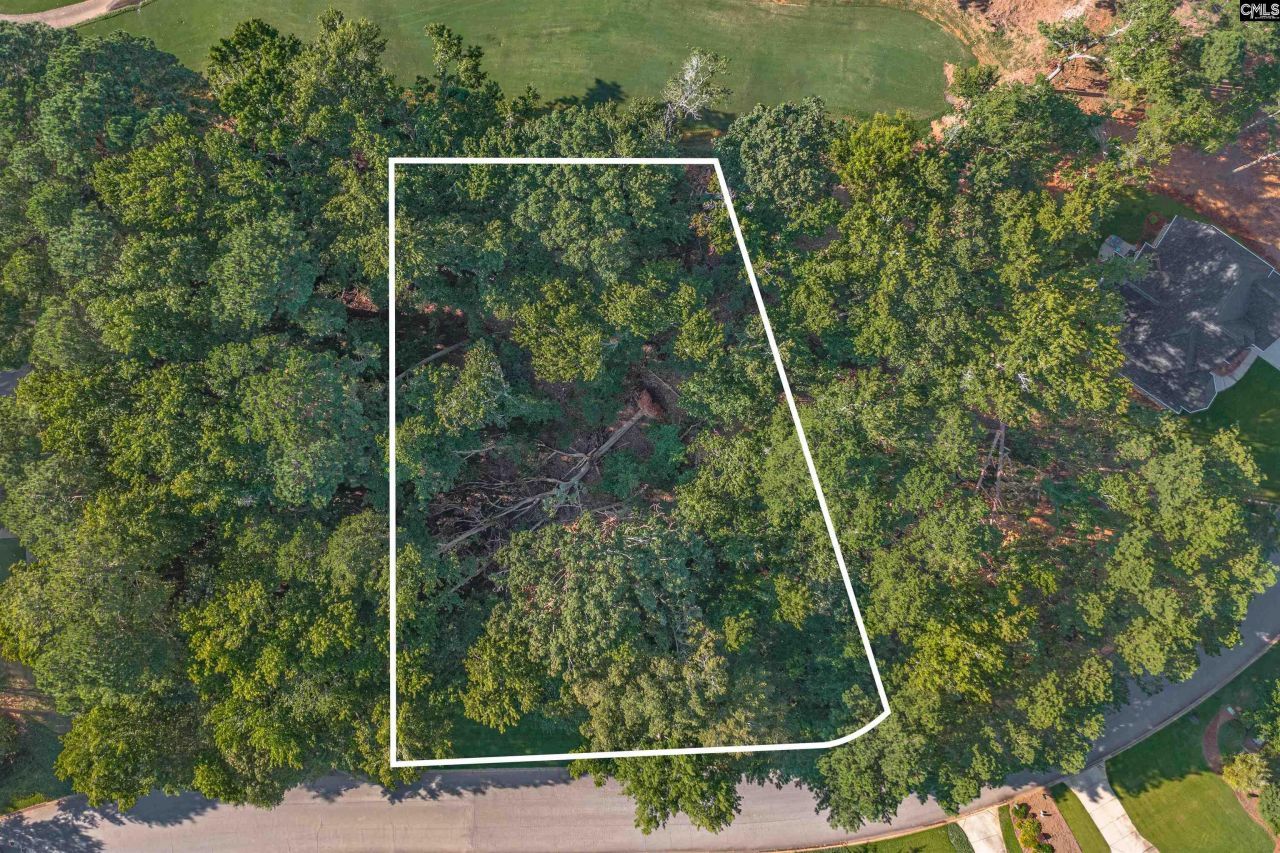 118 Lake Summit Drive Photo 15