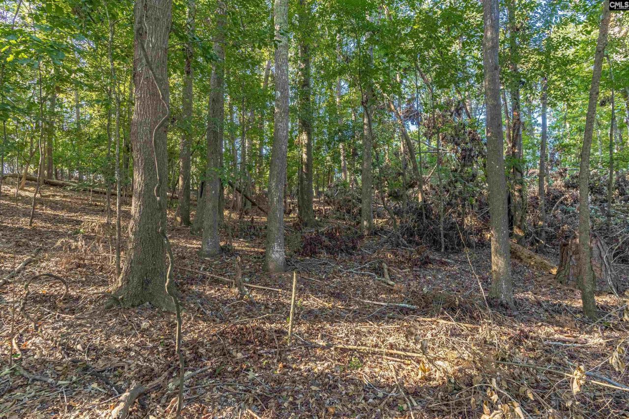 118 Lake Summit Drive Photo 20