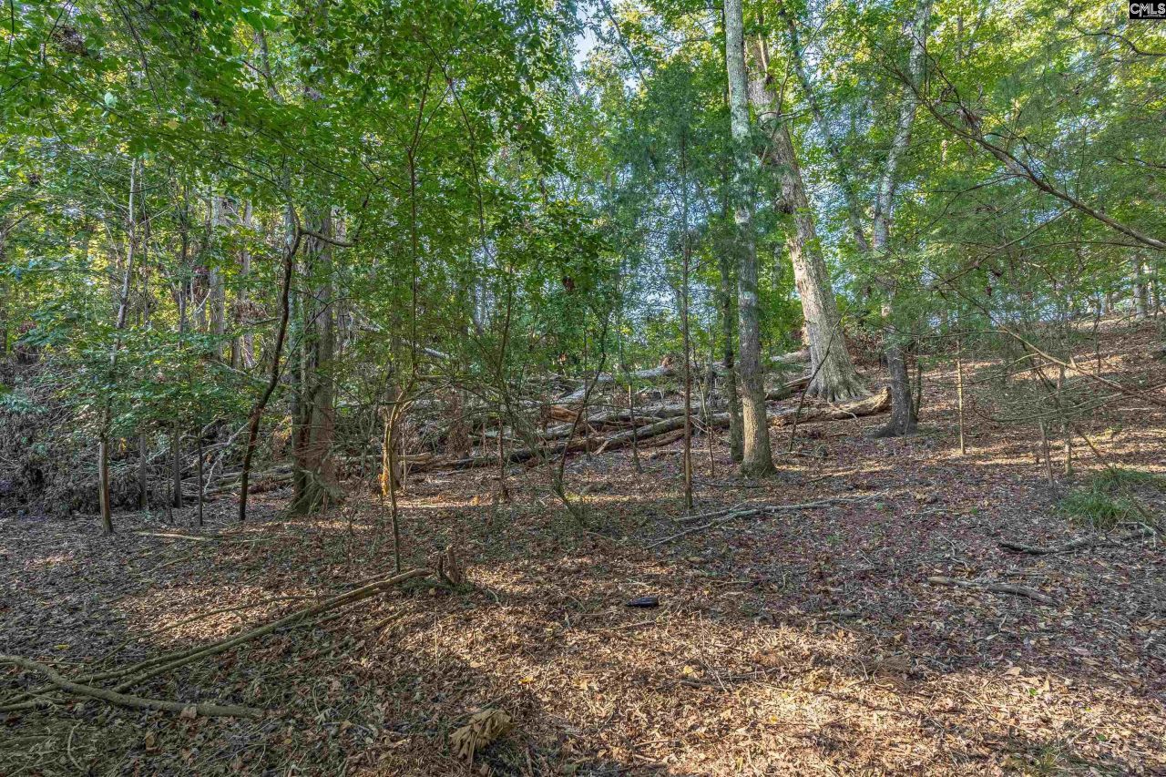 118 Lake Summit Drive Photo 21