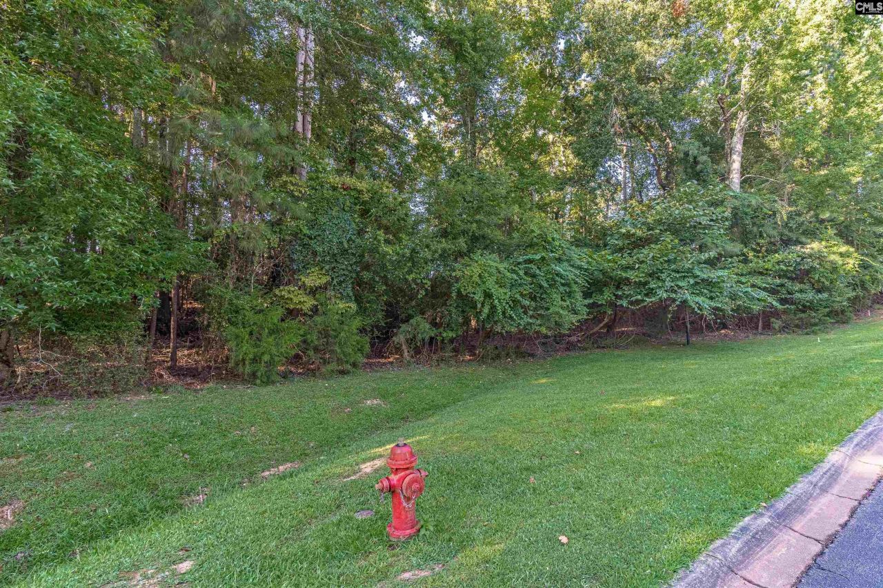 118 Lake Summit Drive Photo 23