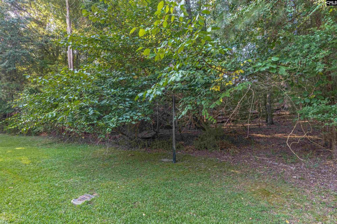 118 Lake Summit Drive Photo 25