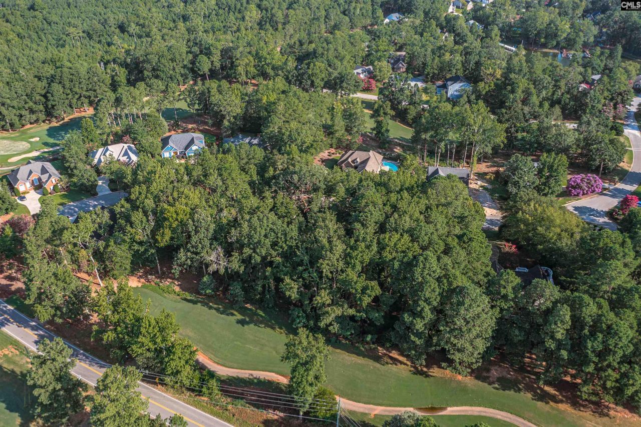 118 Lake Summit Drive Photo 26