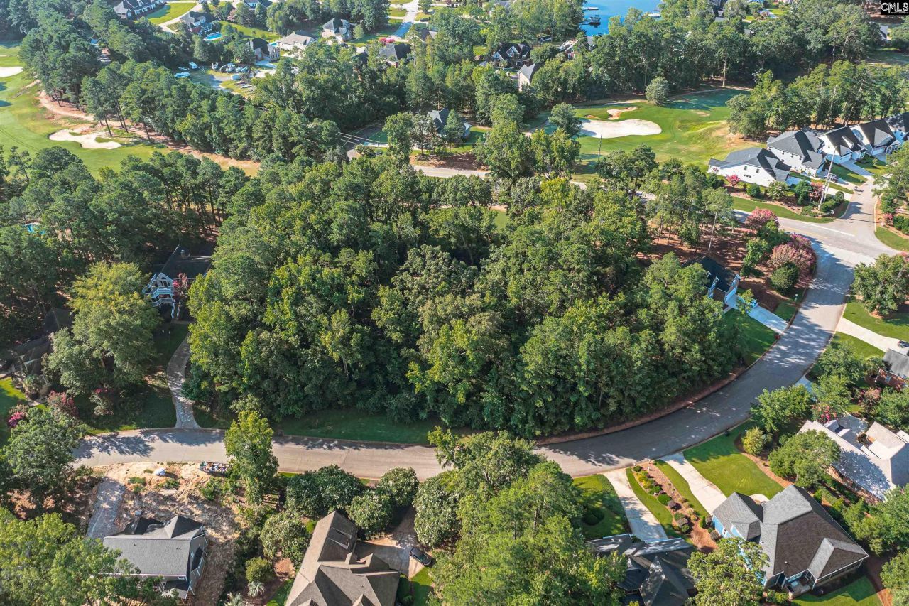 118 Lake Summit Drive Photo 4