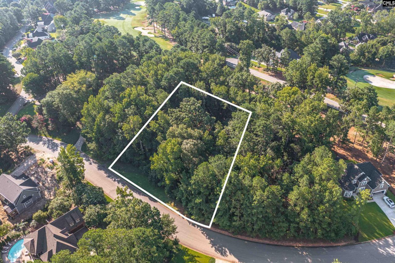 118 Lake Summit Drive Photo 5