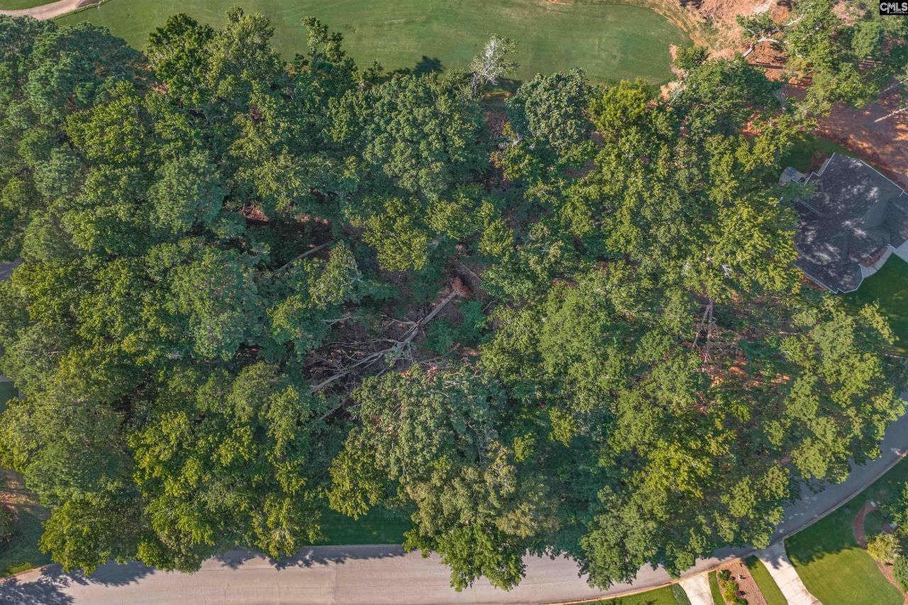 118 Lake Summit Drive Photo 6