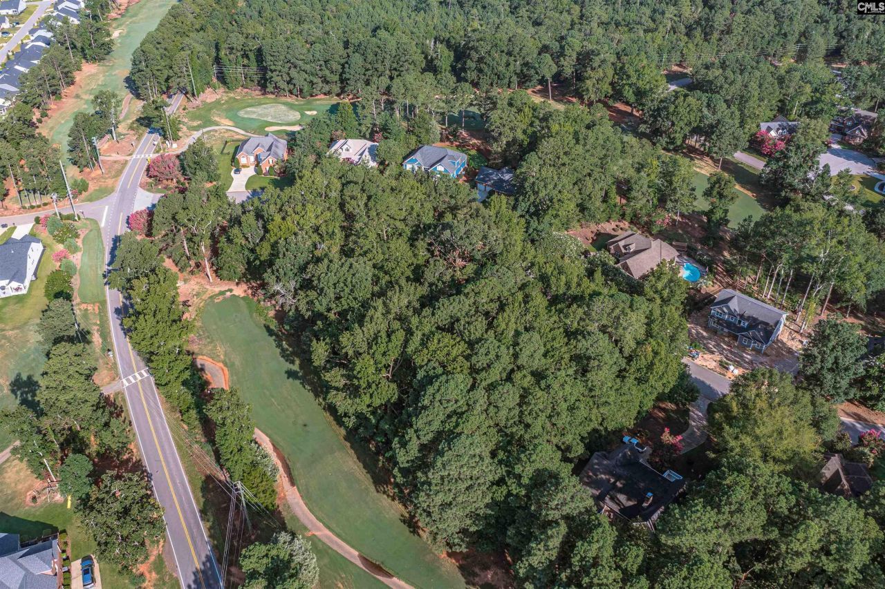 118 Lake Summit Drive Photo 8