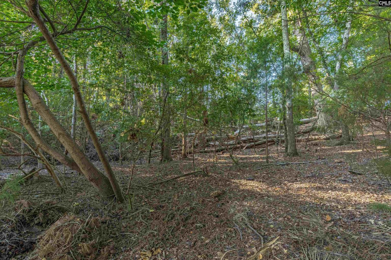 118 Lake Summit Drive Photo 9