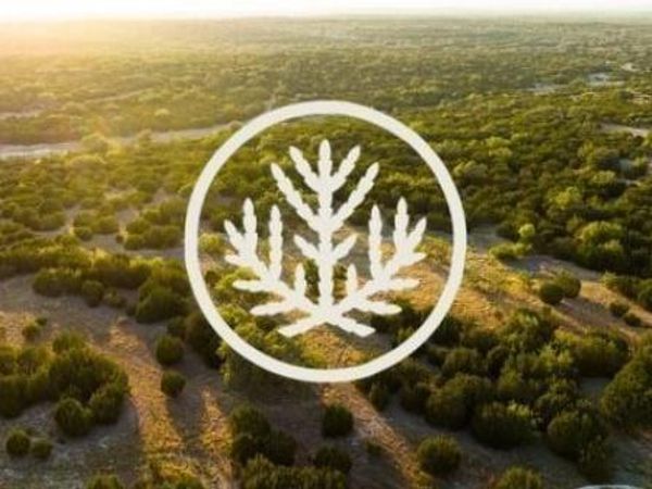 2078 W Ranch Road 962, LOT 29 RD, Round Mountain, TX 78663