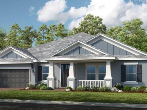 11172 MANOR HOUSE LANE, ODESSA, FL 33556