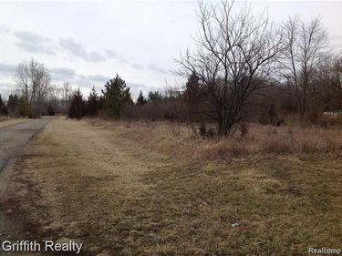 1370 MASON Road, Howell Twp, MI 48843