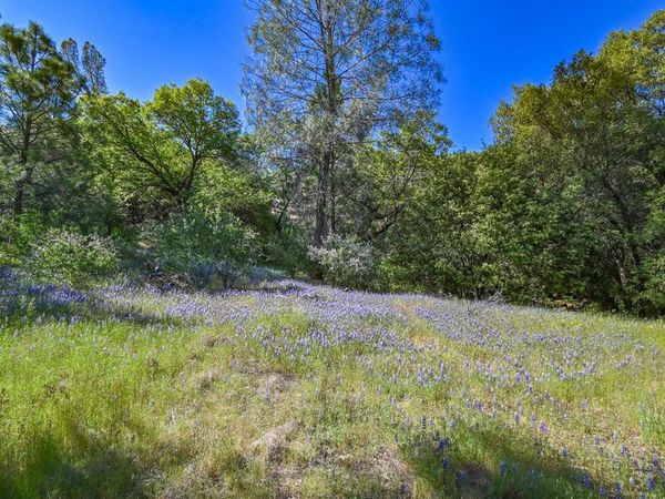 6412 Mt. Aukum Rd, Somerset, CA 95684