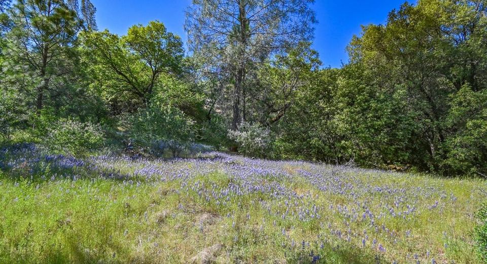 6412 Mt. Aukum Rd, Somerset, CA 95684 Photo
