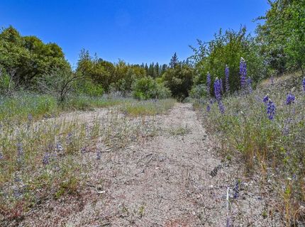 6412 Mt. Aukum Rd, Somerset, CA 95684 Photo