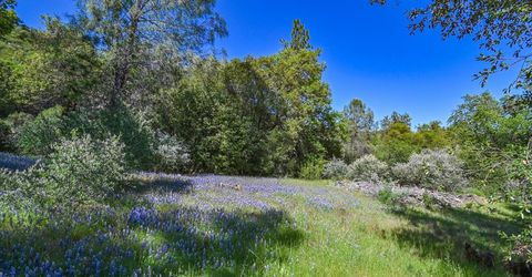 6412 Mt. Aukum Rd, Somerset, CA 95684 Photo