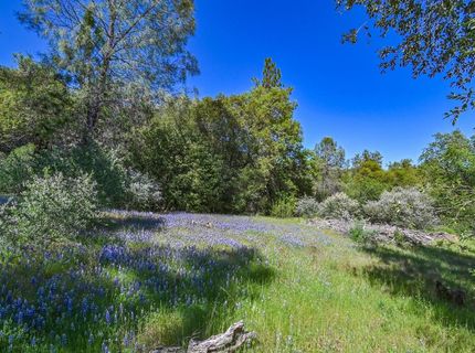 6412 Mt. Aukum Rd, Somerset, CA 95684 Photo