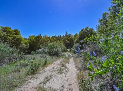 6412 Mt. Aukum Rd, Somerset, CA 95684 Photo
