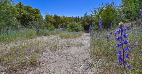 6412 Mt. Aukum Rd, Somerset, CA 95684 Photo