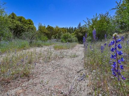 6412 Mt. Aukum Rd, Somerset, CA 95684 Photo