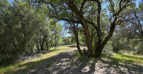 6412 Mt. Aukum Rd, Somerset, CA 95684 Photo