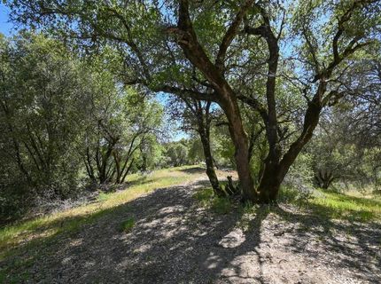 6412 Mt. Aukum Rd, Somerset, CA 95684 Photo
