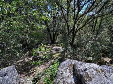 6412 Mt. Aukum Rd, Somerset, CA 95684 Photo