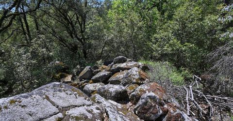 6412 Mt. Aukum Rd, Somerset, CA 95684 Photo