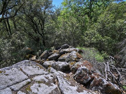 6412 Mt. Aukum Rd, Somerset, CA 95684 Photo