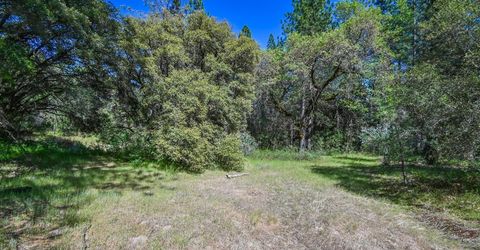 6412 Mt. Aukum Rd, Somerset, CA 95684 Photo