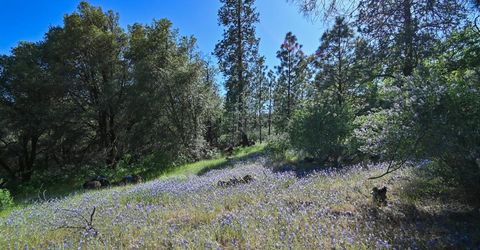 6412 Mt. Aukum Rd, Somerset, CA 95684 Photo