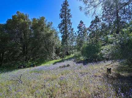 6412 Mt. Aukum Rd, Somerset, CA 95684 Photo