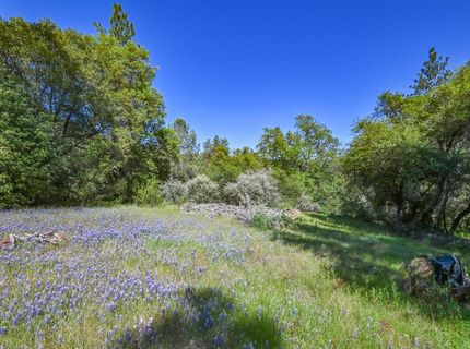 6412 Mt. Aukum Rd, Somerset, CA 95684 Photo