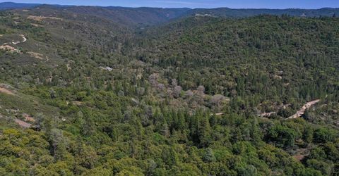 6412 Mt. Aukum Rd, Somerset, CA 95684 Photo