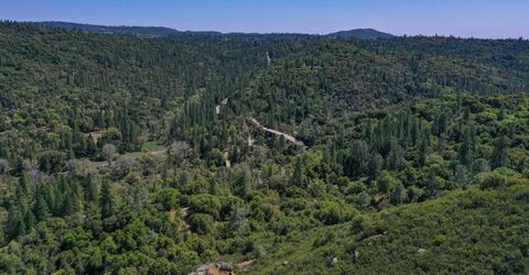 6412 Mt. Aukum Rd, Somerset, CA 95684 Photo