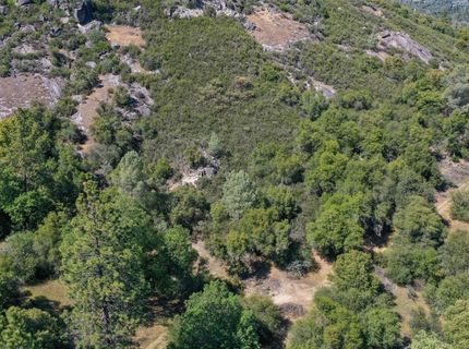 6412 Mt. Aukum Rd, Somerset, CA 95684 Photo