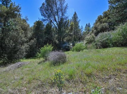 6412 Mt. Aukum Rd, Somerset, CA 95684 Photo